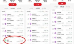 拉卡拉最新爆料消息,揭秘支付巨头背后的商业秘密与挑战