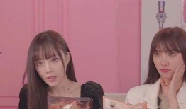 爆料娱乐圈网红