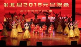 爆料元旦晚会视频,揭秘幕后花絮与精彩表演