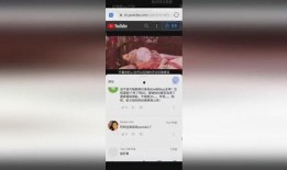 咸鱼小汉堡爆料视频大全,揭秘幕后故事与精彩瞬间